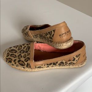 Darling sorry top-siders